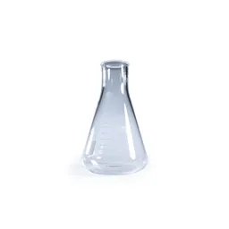 Matraz Erlenmeyer 250 mL