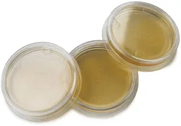 Placas de agar modificado M-TEC, paquete de 15
