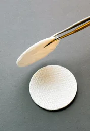 Filtros SPE, 1664A, 47 mm, 48/paq