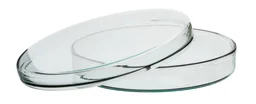 Caja Petri, Borosilicato, 150 x 20 mm