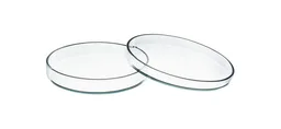 Caja Petri, Vidrio, 60 x 15 mm