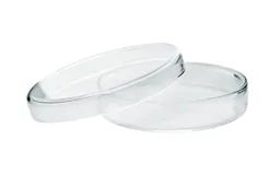 Caja Petri, Vidrio, 80 x 15 mm