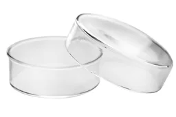 Caja Petri, Vidrio, 50 x 17 mm
