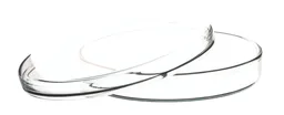 Caja Petri, Vidrio, 100 x 17 mm