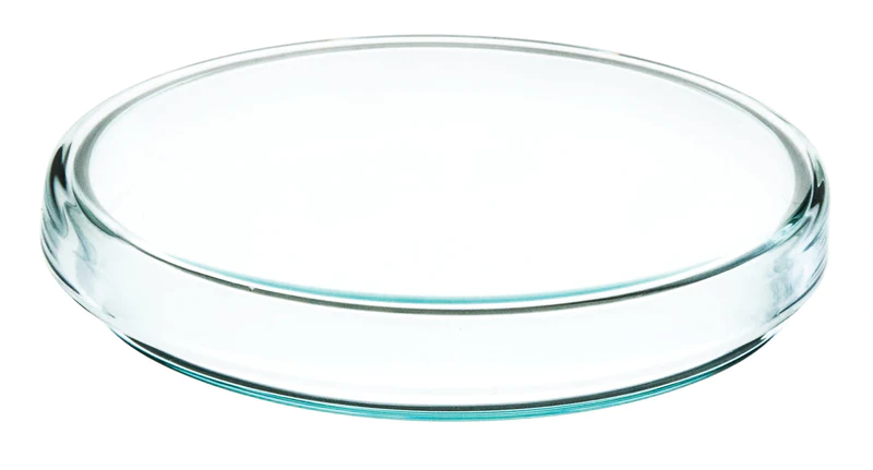 CAJA PETRI COMPLETA VIDRIO 100 X 15MM   EISCO