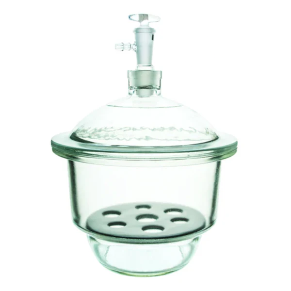 DESECADOR DE VIDRIO 25CM EISCO