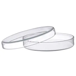 [CH0368D01] Caja Petri, Vidrio, 100 x 20 mm